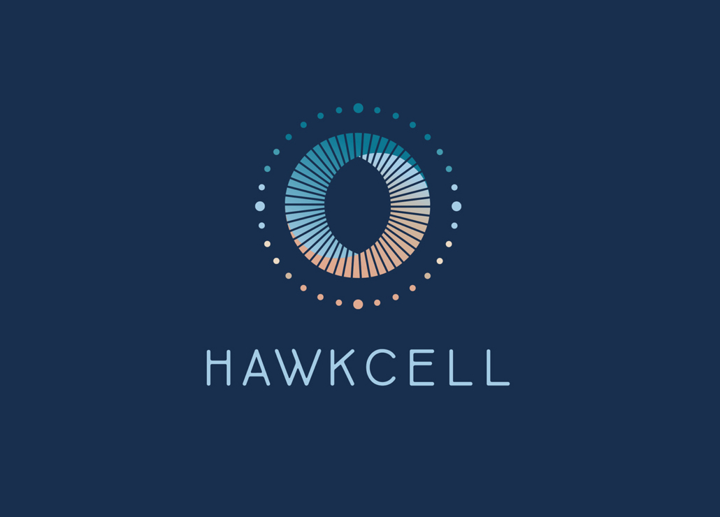 logo pour hawkcell