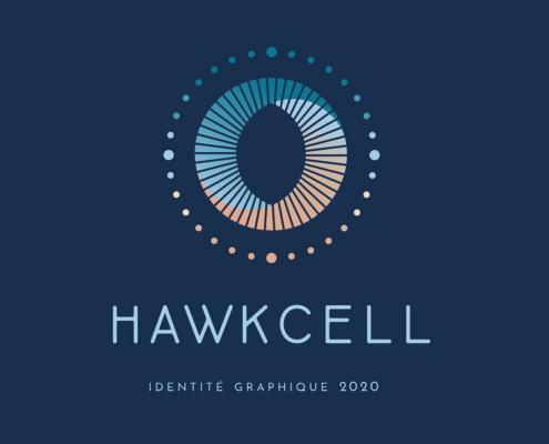 projet de design graphique pour hawkcell